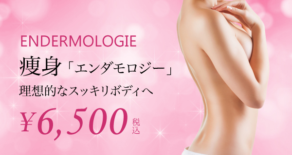 エンダモロジーインテグラル 